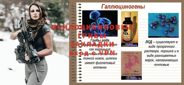 дмт Рославль