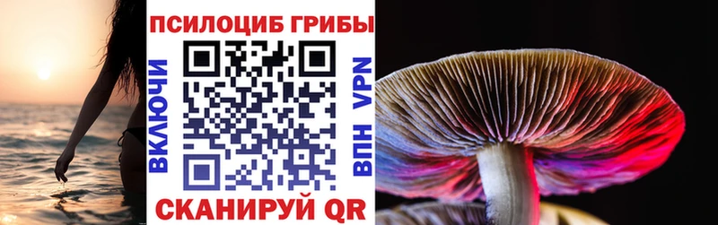 цена наркотик  Артём  Галлюциногенные грибы Magic Shrooms 